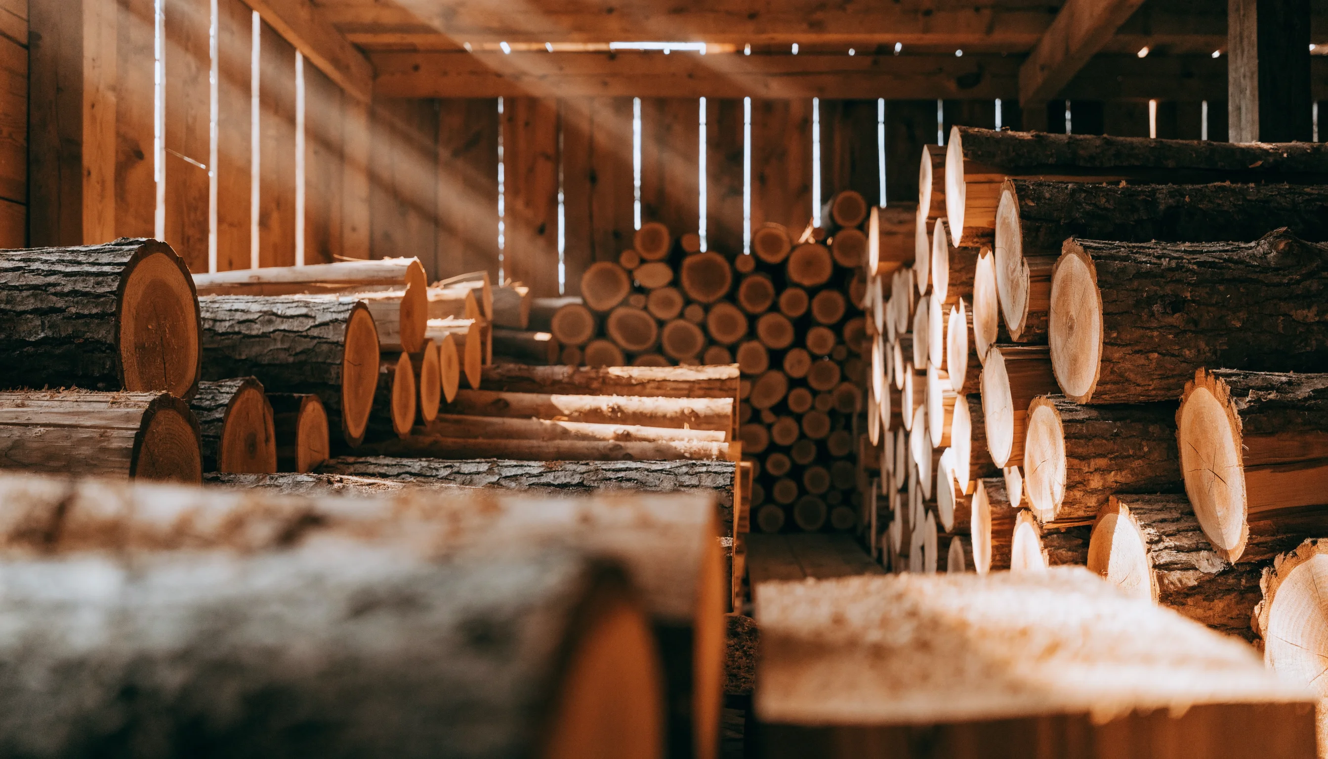 Bois stocké à l'abri